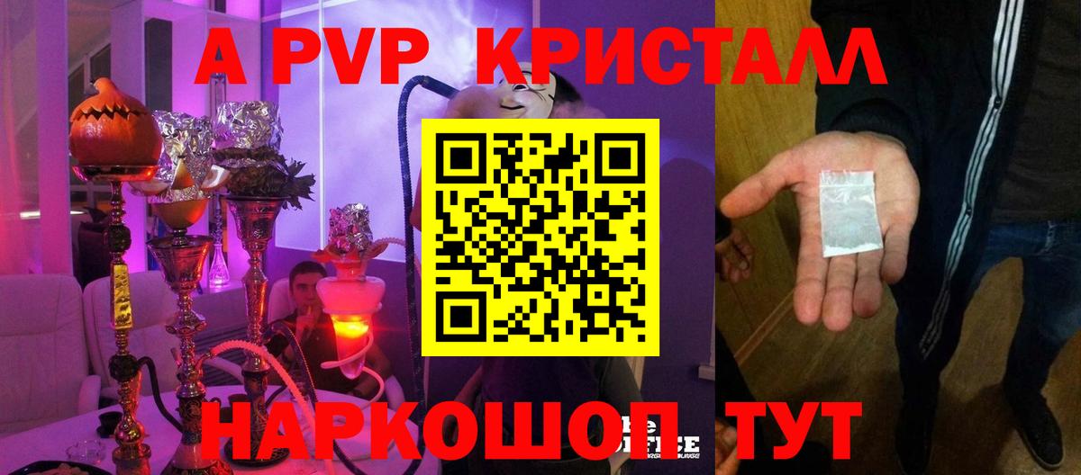 A PVP СК Камышин