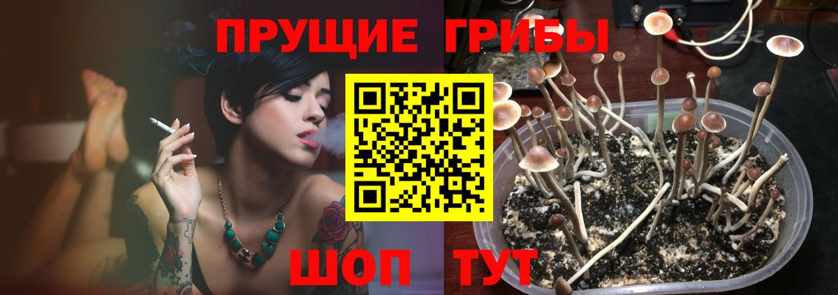 Камышин  Галлюциногенные грибы ЛСД  Вход с VPN 